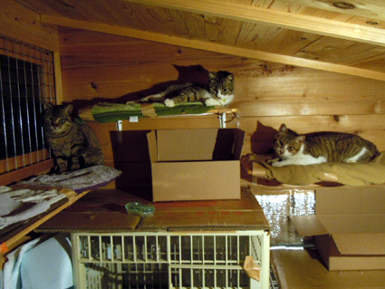 20110611home04.jpg