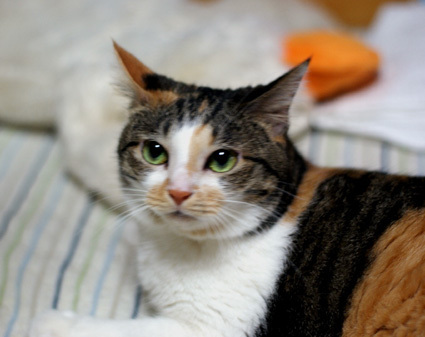 20110622home09.JPG
