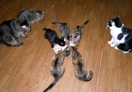 20110629home01.JPG