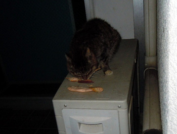 20110708park11-ururu.JPG