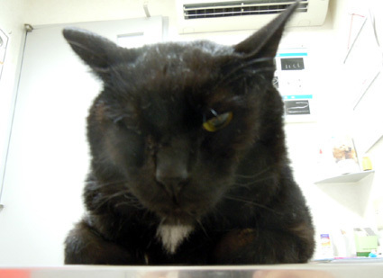 20110827hospital01.JPG