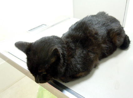 20110827hospital02.JPG