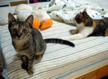 20110828home01.jpg