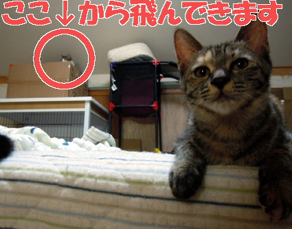 20110828home02.JPG