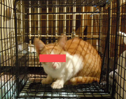 20110914home03.JPG