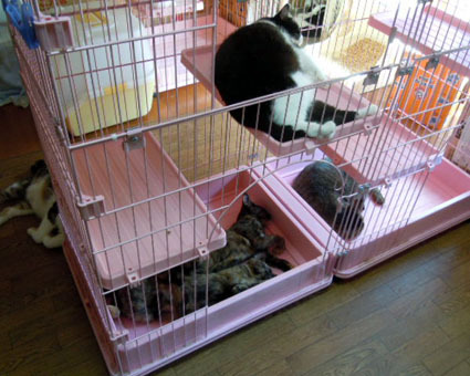 20110919home01.JPG