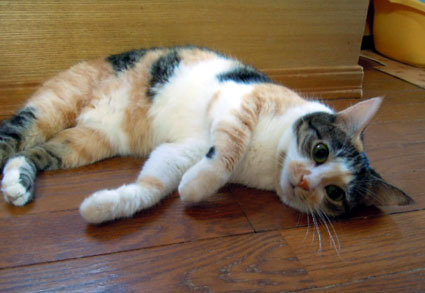 20110919home07.JPG