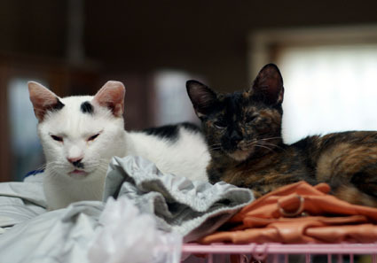 20110925home01.JPG