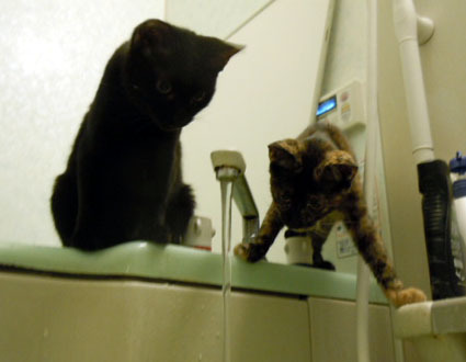 20110927home01.JPG