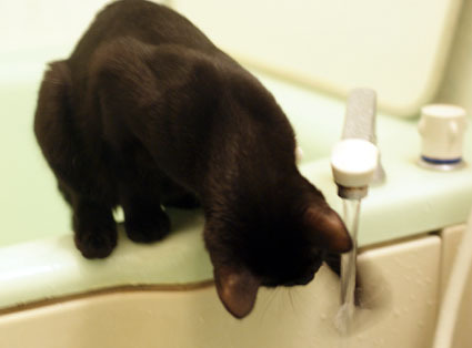 20110927home02.JPG