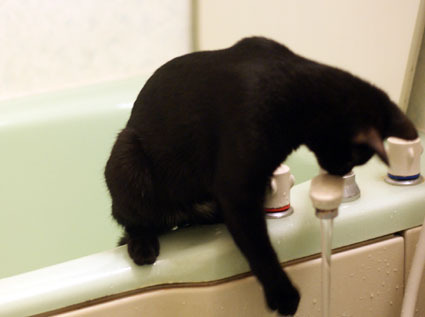 20110927home03.JPG