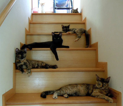 20111010home01.JPG