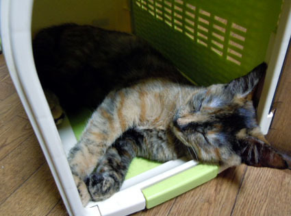 20111010home08.JPG