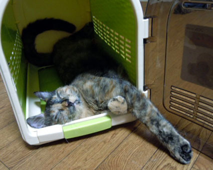 20111010home09.JPG