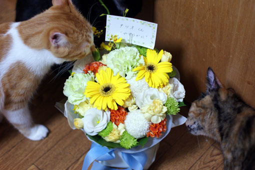 20111012home01.JPG