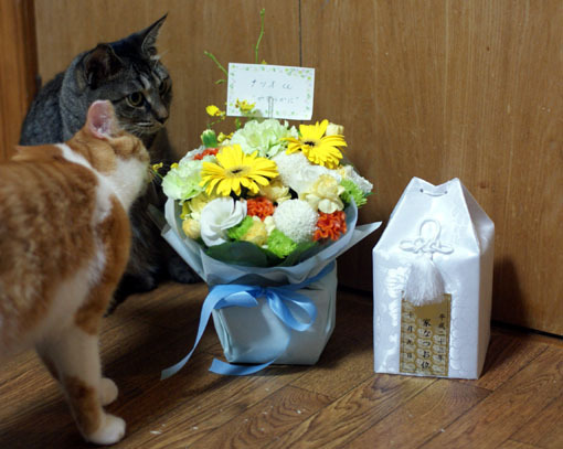 20111012home02.JPG