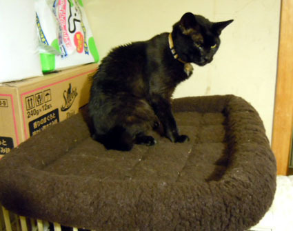 20111019home03.JPG