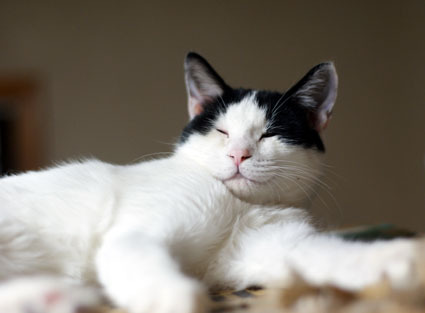 20111030home02_riku.JPG