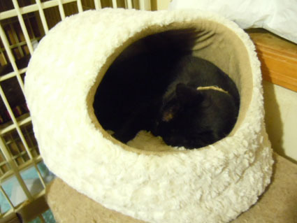 20111121home01.JPG