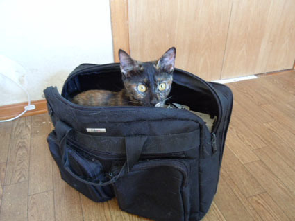 20111123home03.JPG