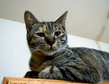 20111127home01.JPG