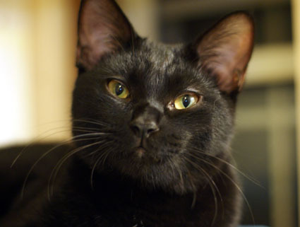 20111128home03.JPG