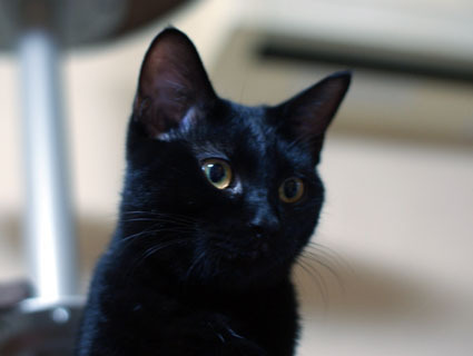 20111128home04.JPG