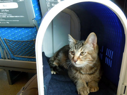 20111203hukuyama06.JPG