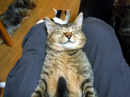 20111206home03_huku.JPG