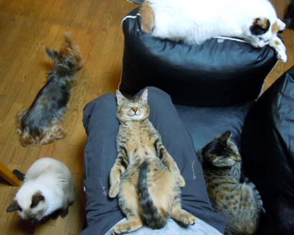 20111206home05_ｆuku.JPG