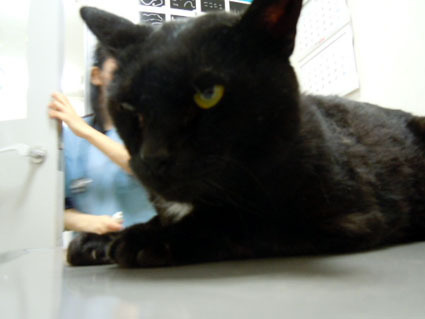 20111210hospital01_luna.JPG