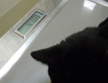 20111210hospital02_luna.JPG