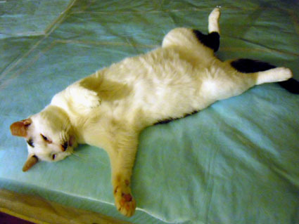 20111212home01_tera.JPG