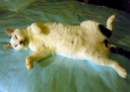 20111212home03_tera.JPG