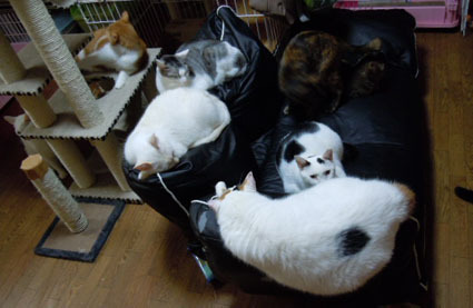 20111212home05.JPG