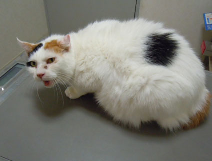 20111224hospital04_oomike.JPG