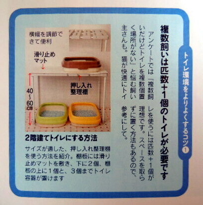 20111224nekonokimochi01.jpg