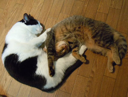 20111225home03.JPG