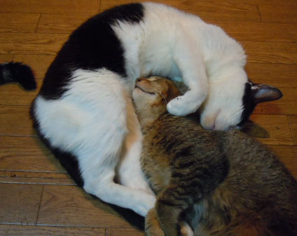 20111225home06.JPG