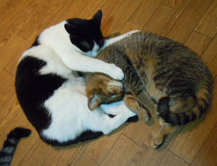 20111225home08.JPG
