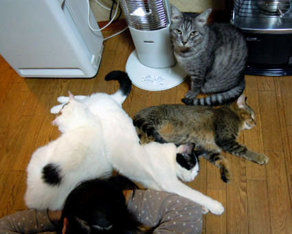 20111229home01.JPG