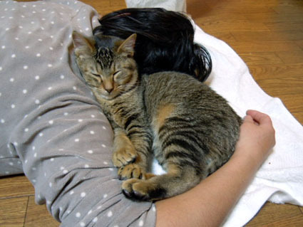 20120103home01_fuku.JPG