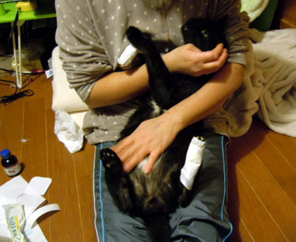 20120103home03_luna.JPG