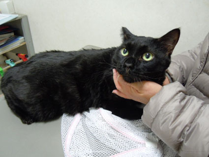 20120128hospital01_sun.JPG
