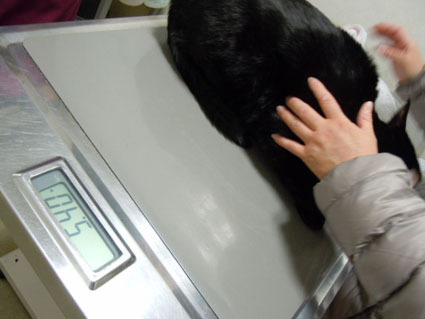 20120128hospital02_sun.JPG