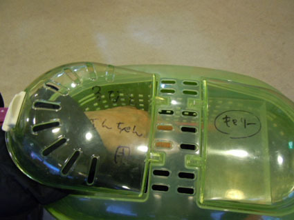 20120128hospital03_sun.JPG