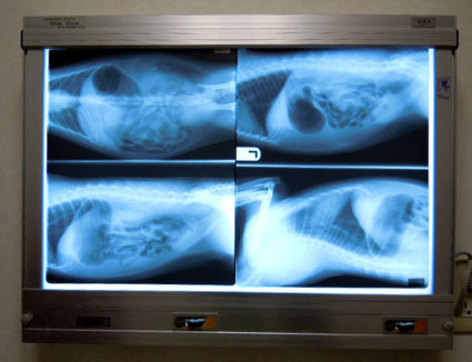 20120128hospital04_sun.JPG
