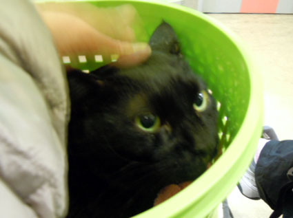 20120128hospital05_sun.JPG