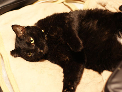 20120130home01_sun.JPG