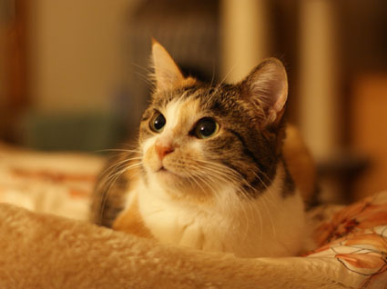 20120208home04.JPG